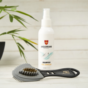 Kit Shampoo Zapatilla + Escobilla NoBuck